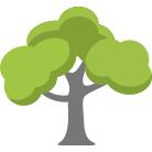 Huntsville Tree Removal Service