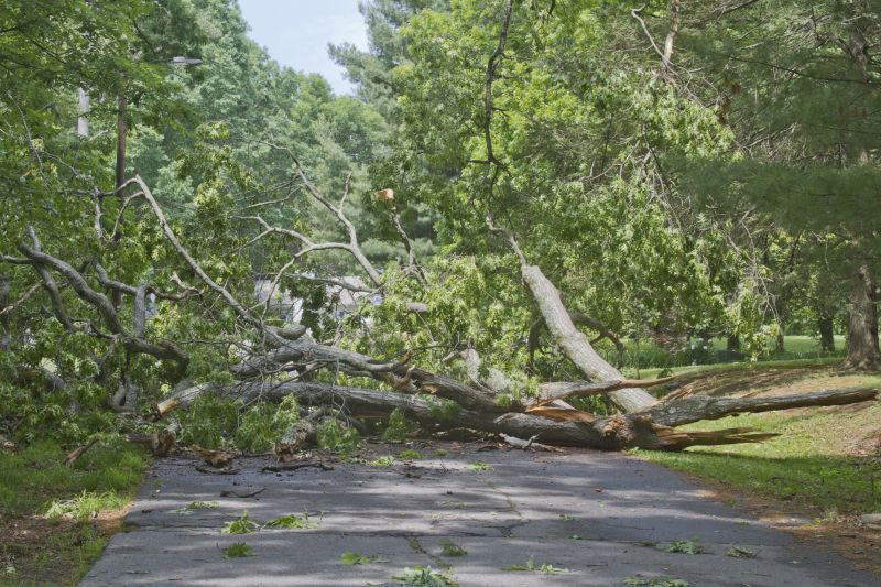 Clearing Debris from a Driveway