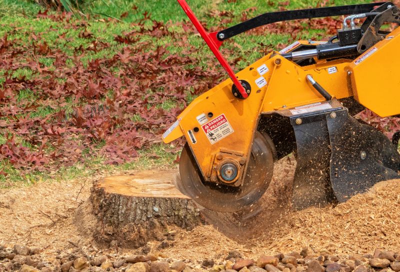 Stump Grinding Finish