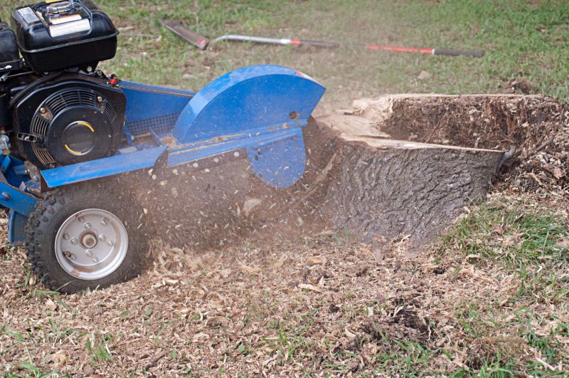 Stump Grinding Process