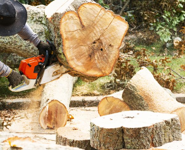 Tree Removal Service in Huntsville